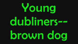 Vignette de la vidéo "Young dubliners~brown dog+lyrics"