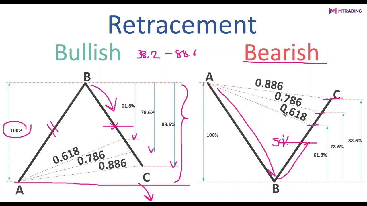 harmonic pattern สอน