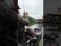This Was SUCKING On My Fish 🤢