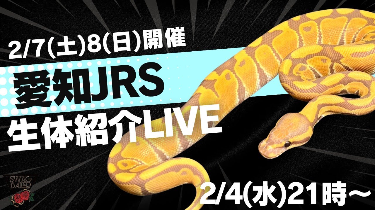 生体紹介ライブ！【JRSセントレア】