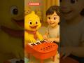 Watch This Duck's Piano Adventure!