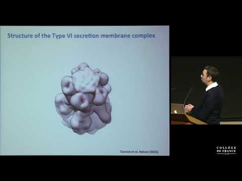 Communication among Complex Microbial Populations and Their Host (8) - P. Sansonetti (2015-2016)