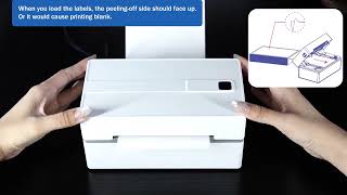 Thermal Label Printer Portable No Ink Required 203DPI 4x6 for Small Business Bluetooth USB