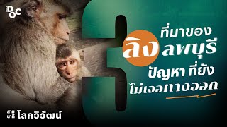 ลิงลพบุรี จากศิษย์เจ้าพ่อพระกาฬ สู่ปัญหาที่ยังไม่เจอทางออก | สามนาทีกับโลกวิวัฒน์