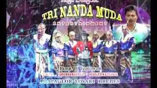 Burok TRINANDA MUDA DR PRO1