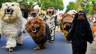 Can macanan singo raung cilik di undang PONDOK PESANTREN NURUL HAMDI acara karnaval Di Tamanan