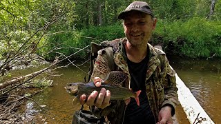 Рыбалка на ХАРИУСА /Забрались в самую глушь и наловили.../ Таежная рыбалка