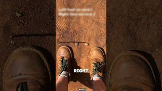 If You Ever Get Lost in the Desert This One Stick Trick Can Save Your Life 🌵🧭