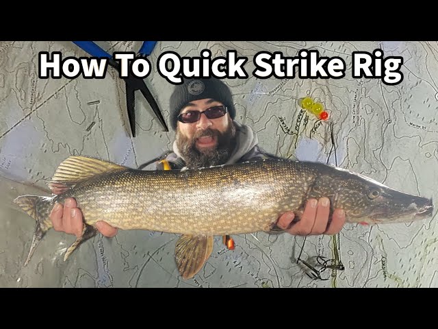 DIY Quick Strike Rig Tutorial - Increase Your Hookup Ratio Ice