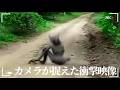 【驚愕】カメラに収められた世界の謎！これは本当に実在するのか？10の衝撃的映像が暴く、常識では説明できない現象の数々