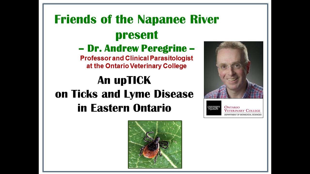 An upTICK on Ticks and Lyme Disease in Eastern Ontario (June 8th, 2021) YouTube