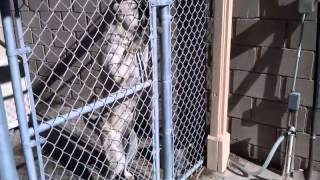 November 24, 2012 1220 Pm