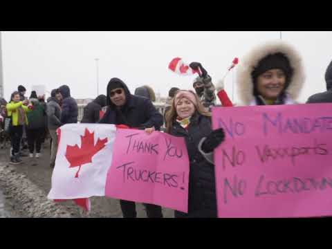 Freedom Convoy 2022 in Toronto