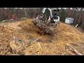 Digging More Stumps With a Mini Excavator and It Broke...