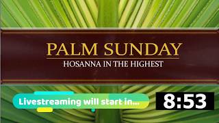 Palm Sunday Holy Mass & Adoration - Sunday 9am 05/04/2020