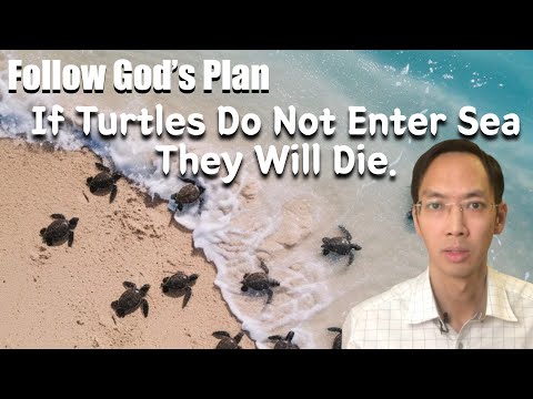 Follow God's Plan !