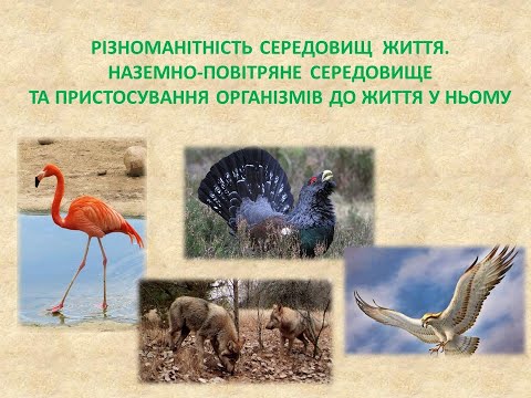 Відео-урок природознавства в 5 класі. Різноманітність середовищ життя. Наземно-повітряне середовище