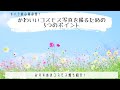 かわいいコスモス畑写真を撮るための5つのポイント【撮影方法】