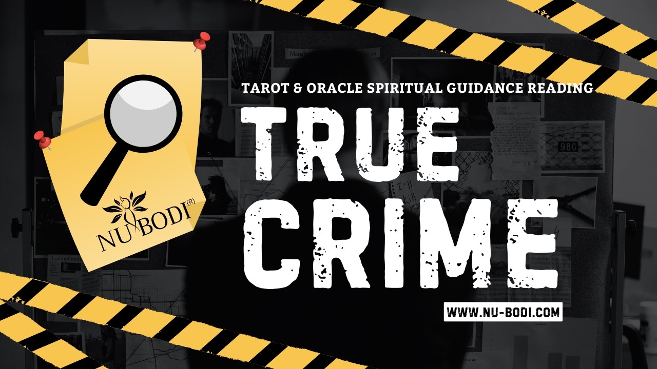 Криминальные истории по вторникам: кража огромного состояния супружеской парой, ложь, улики и сле...