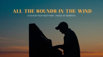 All The Sounds In The Wind | A film by Filip Hostynek | Music by Borrtex