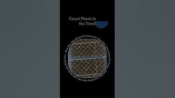 Faster, Smarter, and More Accurate: Plant Inventory, the Drone Way!