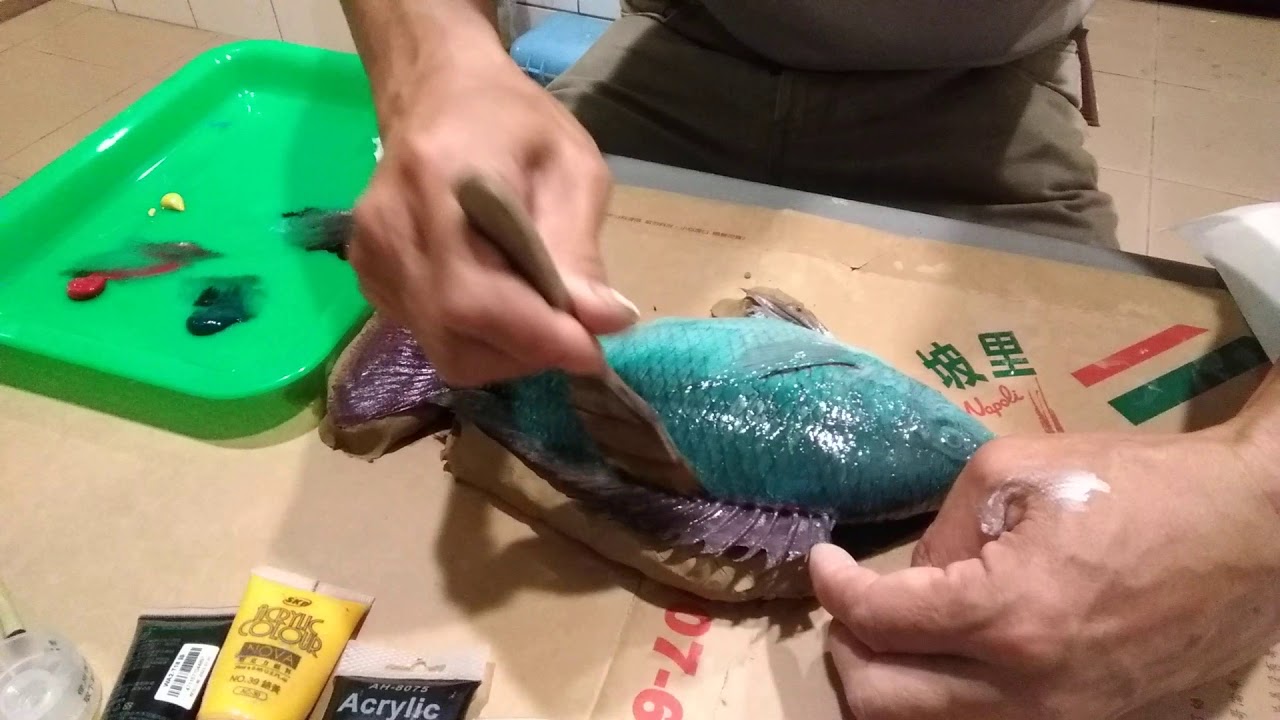直接魚拓製作過程 Youtube 直接魚拓製作過程 Youtube
