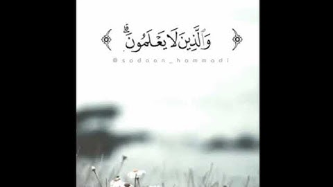 تلاوة جميلة للشيخ سعدون حمادي