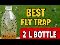 How to Make the BEST 2 Liter Bottle Fly Trap (kills flies fast!)￼