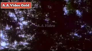 Pinjre Pake Ko Tod Ke Panchi.(((Special Jankar))) Full HD 4K Song