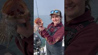 Puget Sound lingcod opener ✅🎣 #fishing #lingcodfishing #fishon #pugetsoundfishing #saltwaterfishing