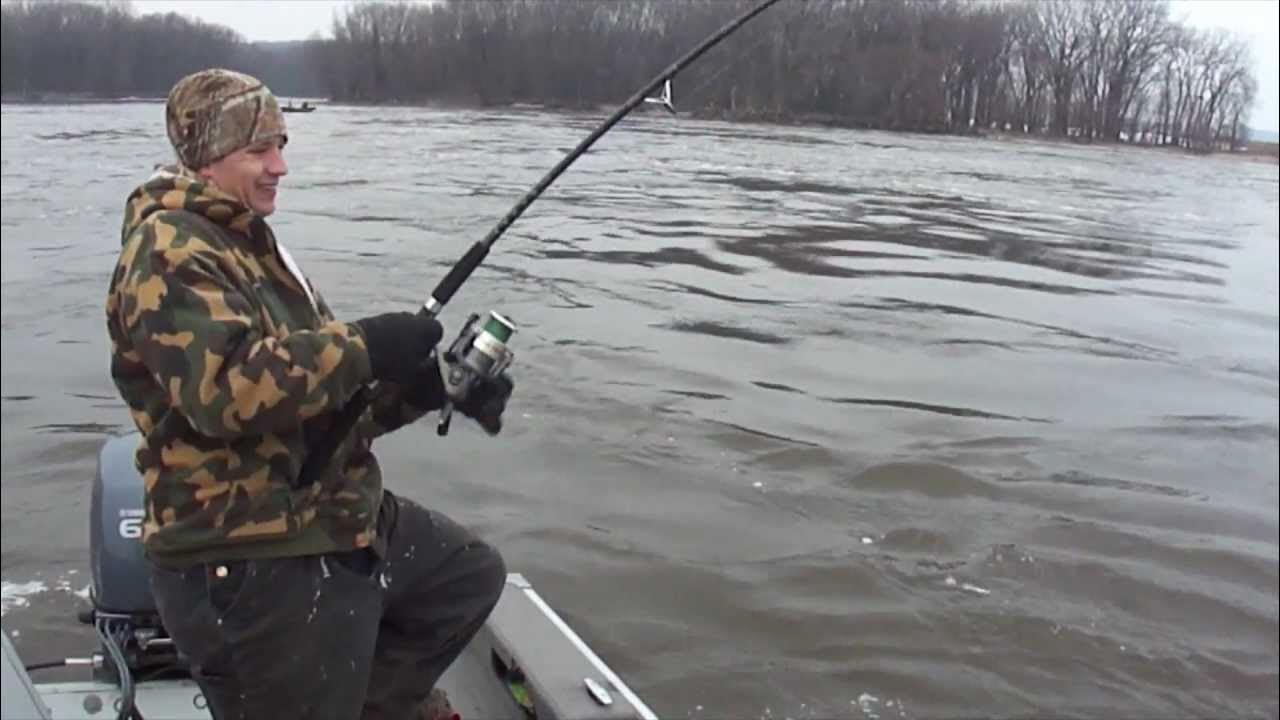 How to Snag Spoonbill Snagging Paddlefish YouTube