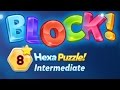 BLOCK Hexa Puzzle Intermediate Level 8 Basic Lsung 