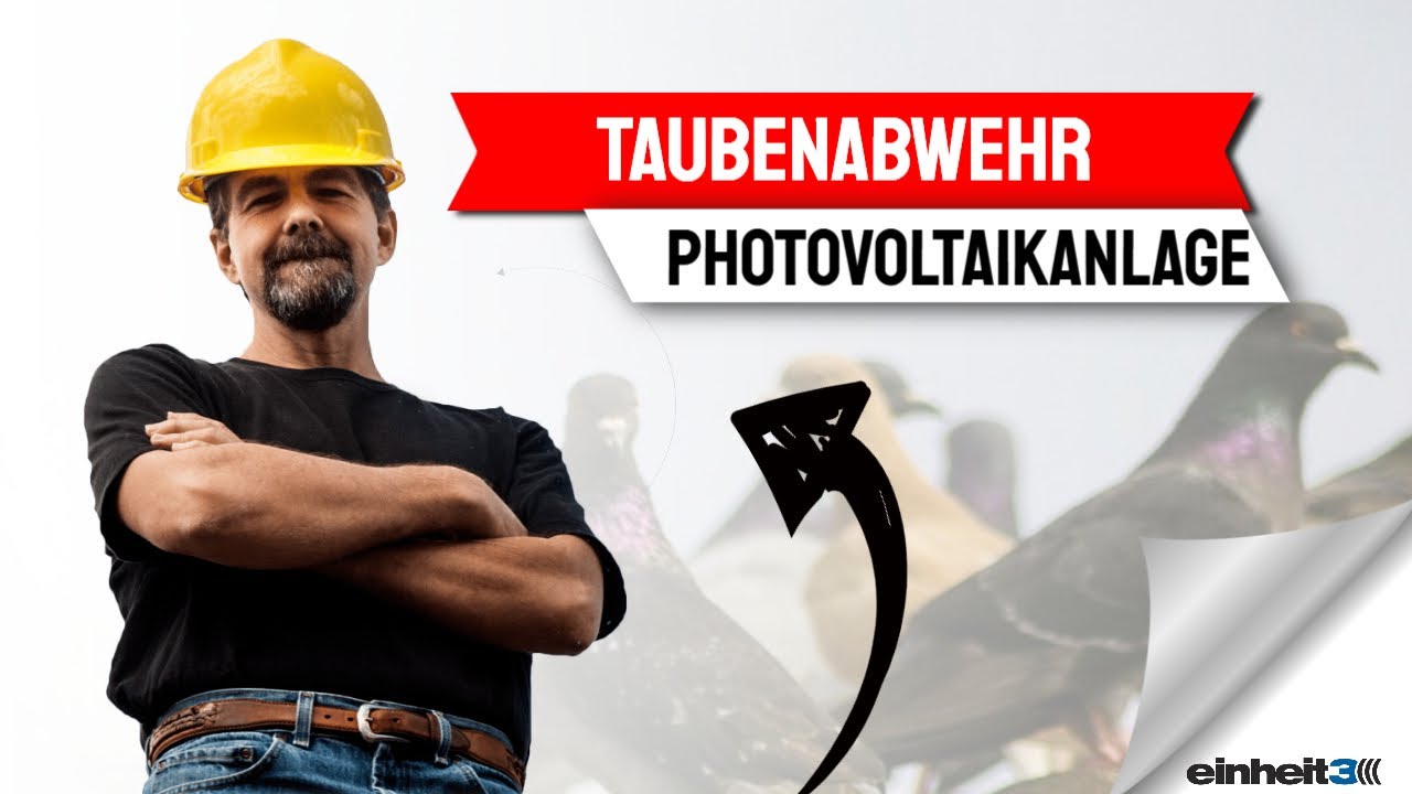 Taubenabwehr Photovoltaik Stuttgart - Taubenabwehrsystem Photovoltaikanlage / Solaranlage