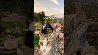 Sevginizi Bu Canlardan Esirgemeyin