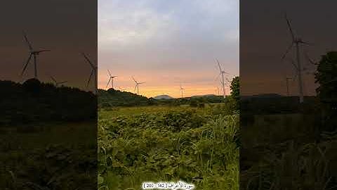 تلاوة خاشعة من سورة الأعراف للشيخ احمد بن طالب