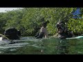 Middle of video