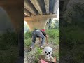 You Won’t Believe How I Became King of Zombie Monkeys
