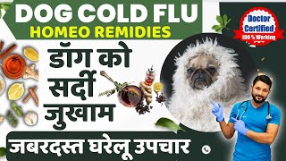 डॉग के  सर्दी जुकाम का घरेलु असरदार ईलाज Dog Ko Sardi Ho Jaye To Kya Karen Dog Cold Home Remedies