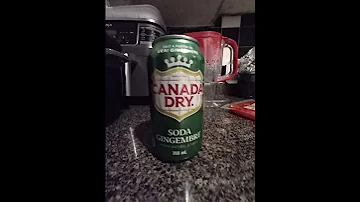 Drink Canada Dry Drink Beer 