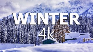 Winter 4K Relaxation Film - Beautiful Relaxing Music - Wonderful Winter