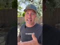 How fast do adhd meds work and you notice a difference? I share from personal