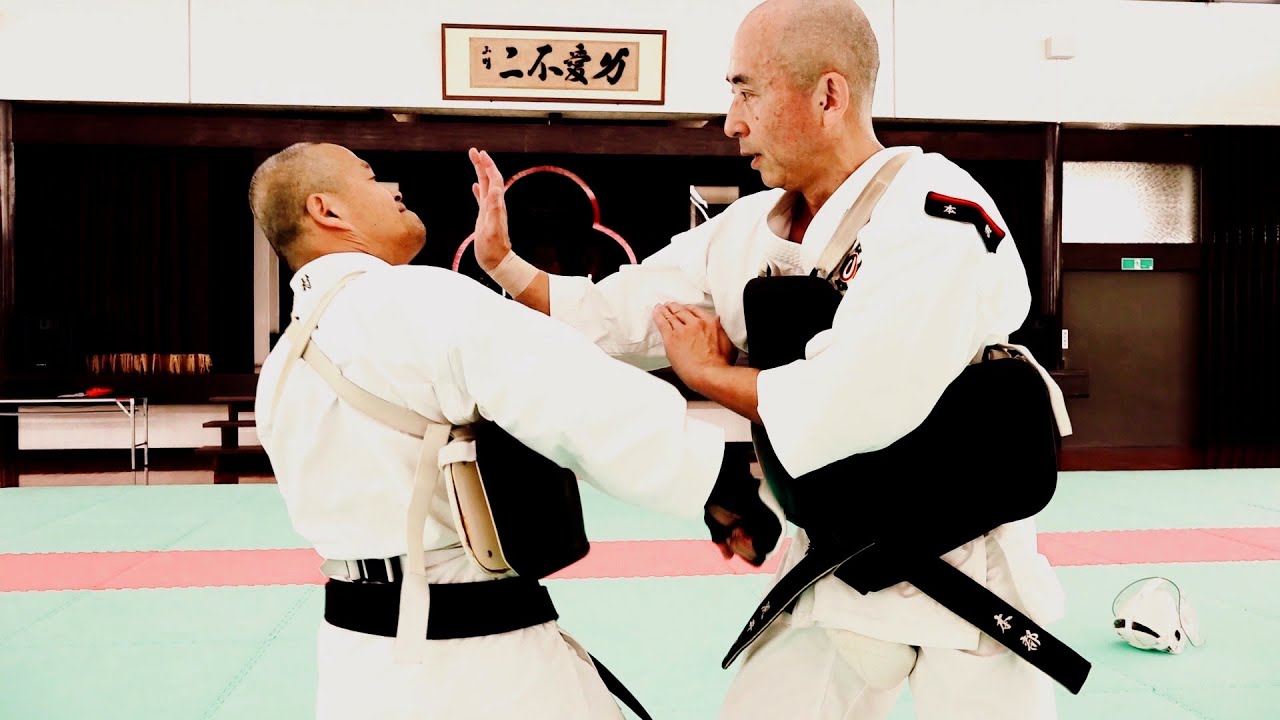 【少林寺拳法】ローキックへの対応・金的蹴り・虎倒（とらだおし）を使いこなせ！【Shorinjikempo】Amazing technique with great theory!