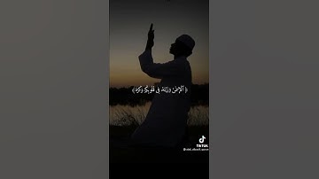 (ولكن الله حبب اليكم الإيمان) | سورة الحجرات | حالات واتس اب دينية | عبدالباسط عبدالصمد 🌿