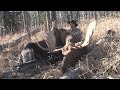 Moose Hunting in the Foothills of Alberta