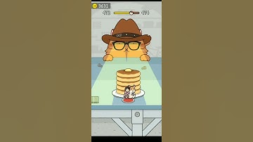 Hide and Seek: Cat Escape! 😹😻 #level 473 #shorts