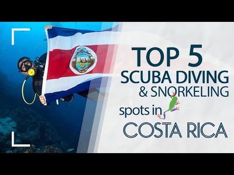 Vídeo: Os 5 melhores locais de mergulho da Costa Rica