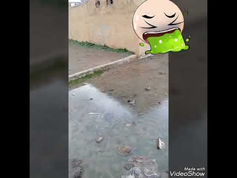مدخل الملعب أولاد دحمان