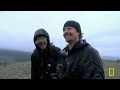 Meet the Yellowstone Scavengers (Full Episode) | America the Wild | Nat Geo Animals