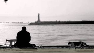 Haydar Haydar.wmv