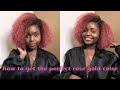 How to get the perfect rose gold &amp; light blonde color for any skin tone ft hergivenhair